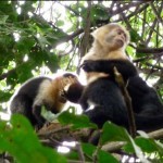 Visiting Manuel Antonio in Costa Rica
